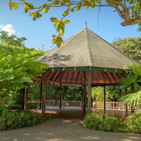 Tropical Escape Villa Ocho Rios Exterior foto